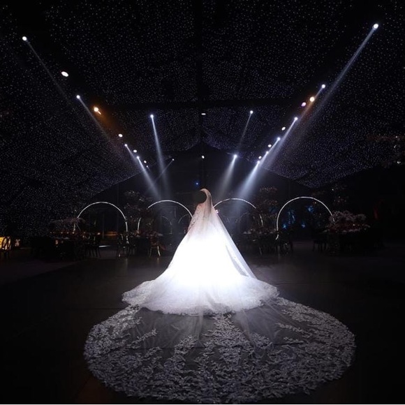 Wedding Dress by Tony Ward - Picture 2 of 5